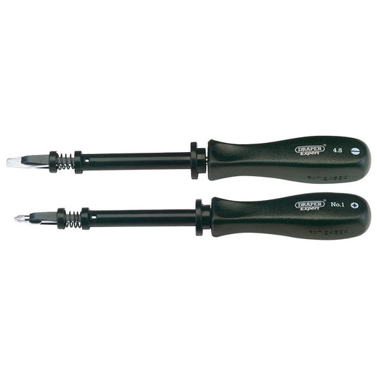 Draper Expert Screw Holding Mechanics Screwdriver Set (2 Piece)