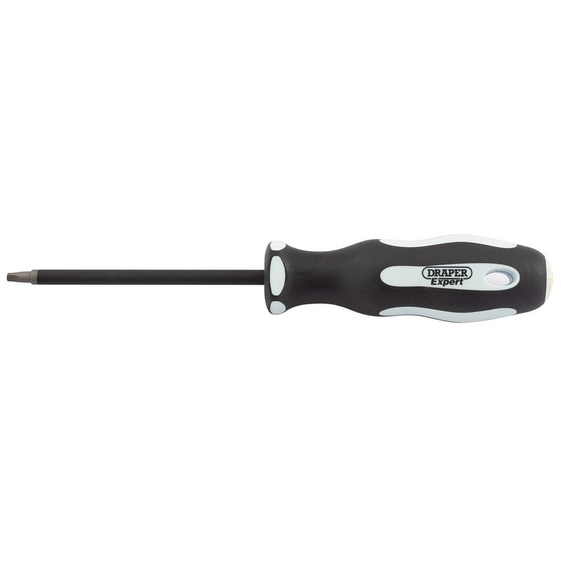 Draper Expert Square Recess Soft Grip Security Screwdriver, S2 x 100mm